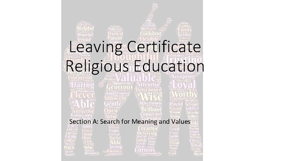 Leaving Certificate Religious Education Section A: Search for Meaning and Values 