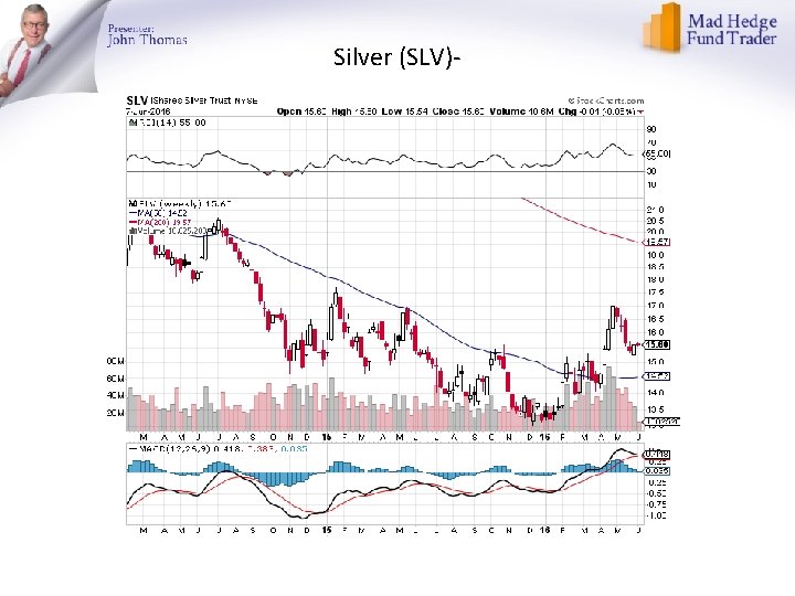 Silver (SLV)- 