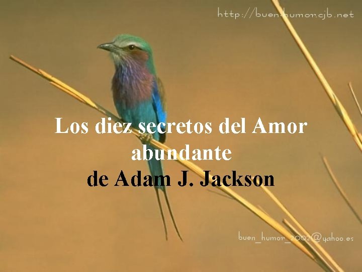 Los diez secretos del Amor abundante de Adam J. Jackson 