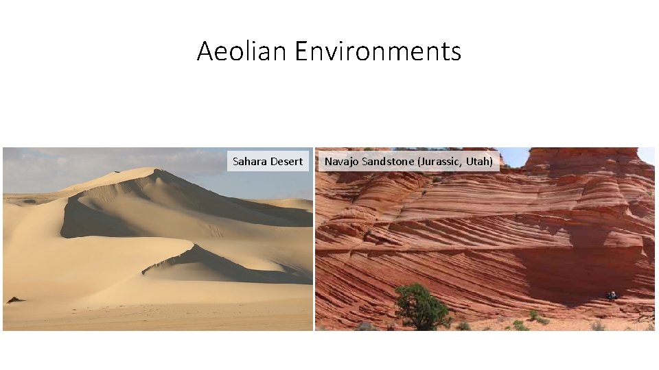 Aeolian Environments Sahara Desert Navajo Sandstone (Jurassic, Utah) 