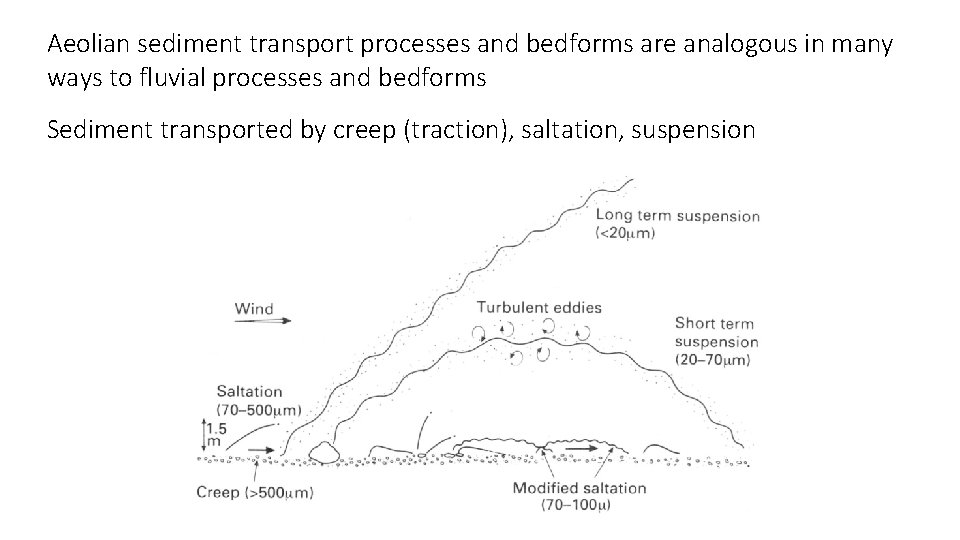 Aeolian sediment transport processes and bedforms are analogous in many ways to fluvial processes
