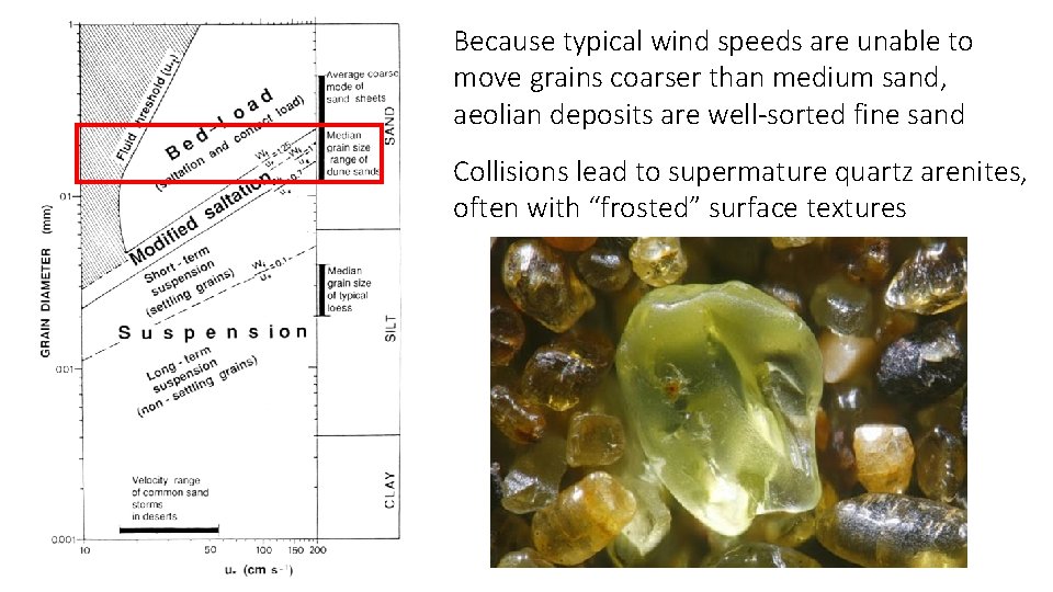 Because typical wind speeds are unable to move grains coarser than medium sand, aeolian