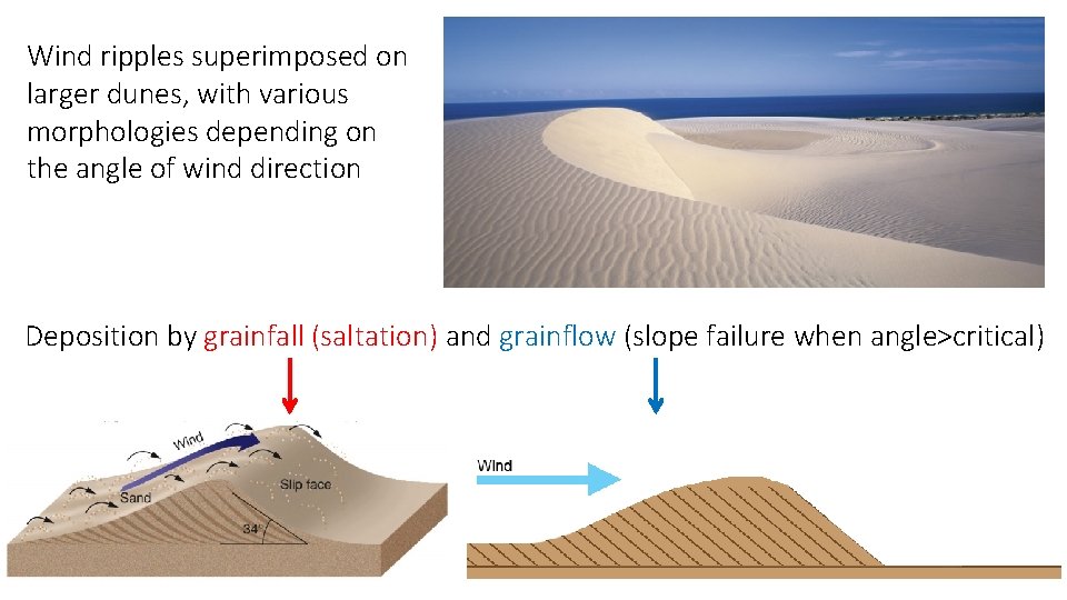 Wind ripples superimposed on larger dunes, with various morphologies depending on the angle of