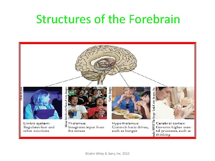 Lecture Overview Neural Bases of Behavior Nervous System