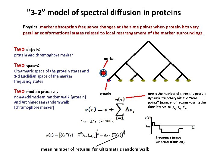 ” 3 -2” model of spectral diffusion in proteins Physics: marker absorption frequency changes