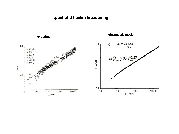 spectral diffusion broadening experiment ultrametric model 