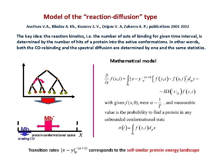 Model of the “reaction-diffusion” type Avetisov V. A. , Bikulov A. Kh. , Kozurev