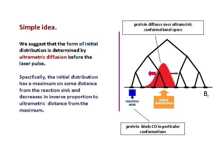 Simple idea. protein diffuses over ultrametric conformational space We suggest that the form of