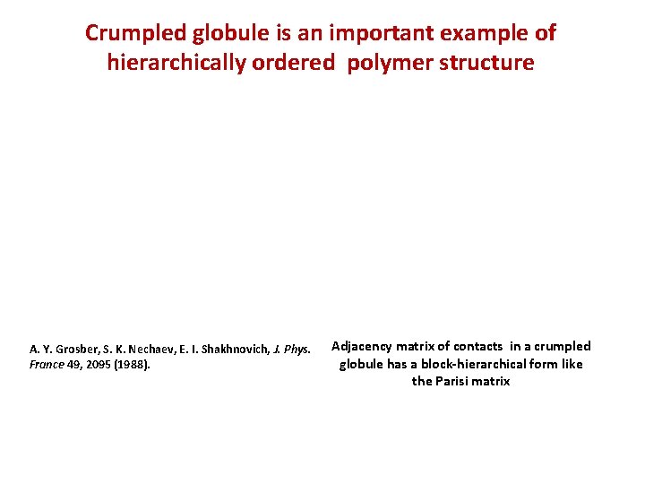 Crumpled globule is an important example of hierarchically ordered polymer structure A. Y. Grosber,