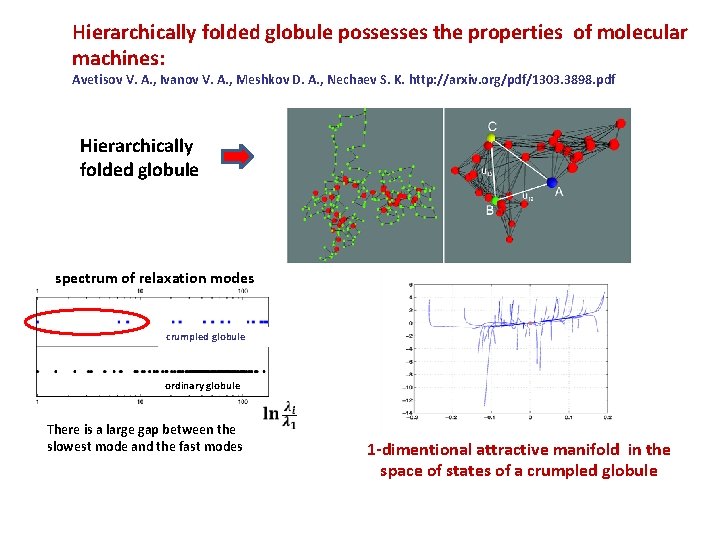 Hierarchically folded globule possesses the properties of molecular machines: Avetisov V. A. , Ivanov