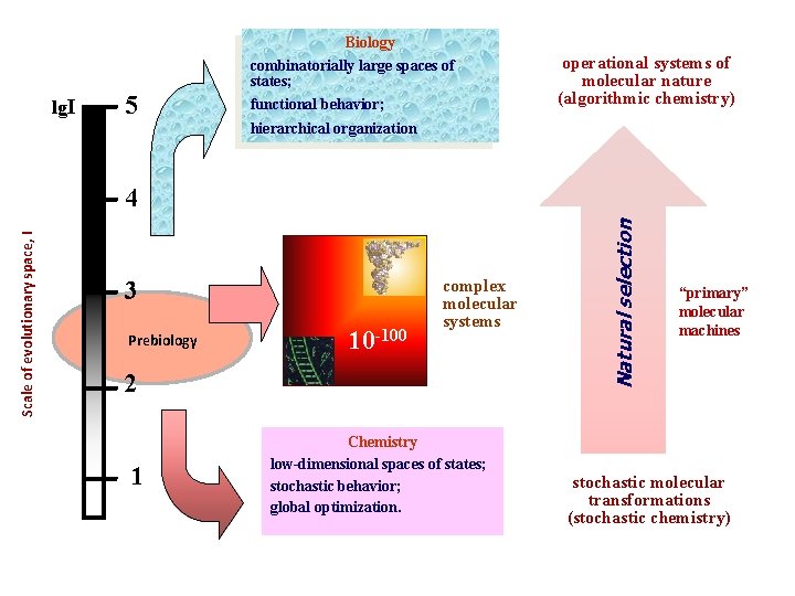 Biology combinatorially large spaces of states; lg. I 5 functional behavior; operational systems of