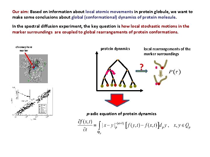 Our aim: Based on information about local atomic movements in protein globule, we want