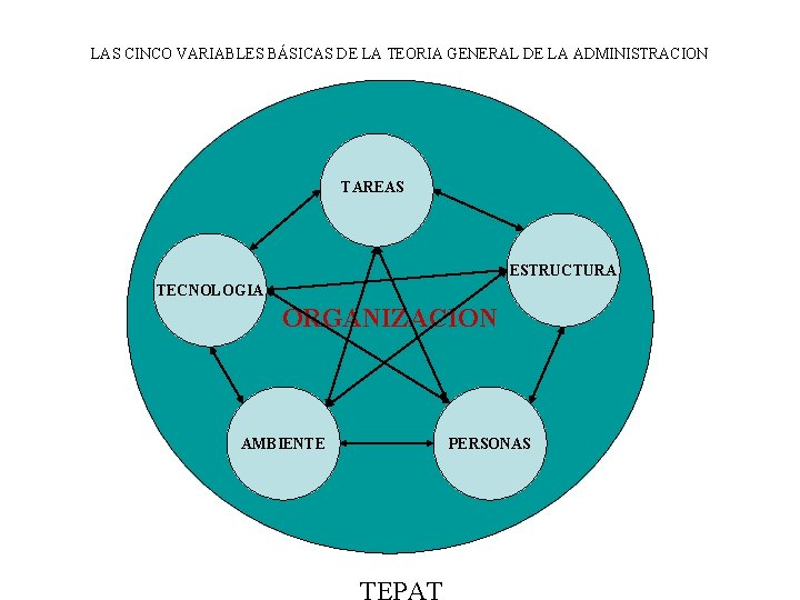 LAS CINCO VARIABLES BÁSICAS DE LA TEORIA GENERAL DE LA ADMINISTRACION TAREAS ESTRUCTURA TECNOLOGIA LAS CINCO VARIABLES BÁSICAS DE LA TEORIA GENERAL DE LA ADMINISTRACION TAREAS ESTRUCTURA TECNOLOGIA