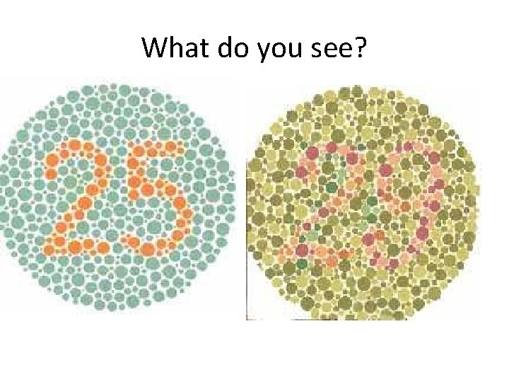 What do you see? 