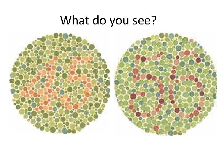 What do you see? 