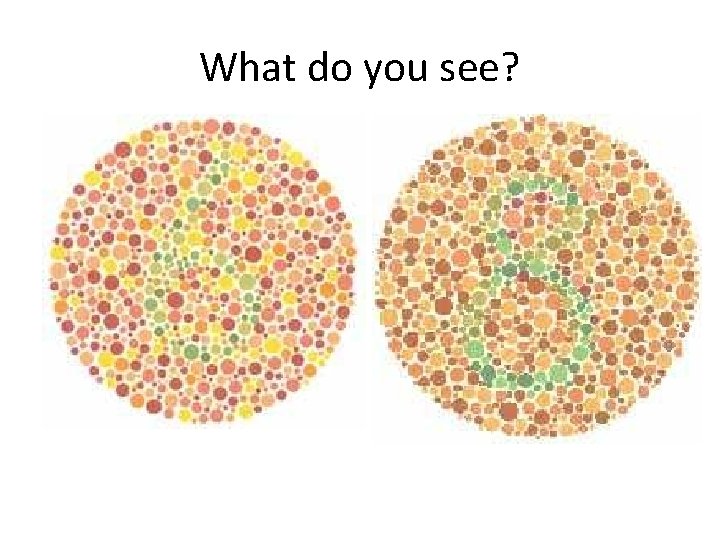 What do you see? 