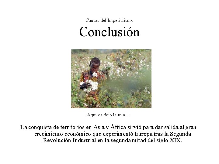 Causas del Imperialismo Conclusión Aquí os dejo la mía… La conquista de territorios en Causas del Imperialismo Conclusión Aquí os dejo la mía… La conquista de territorios en
