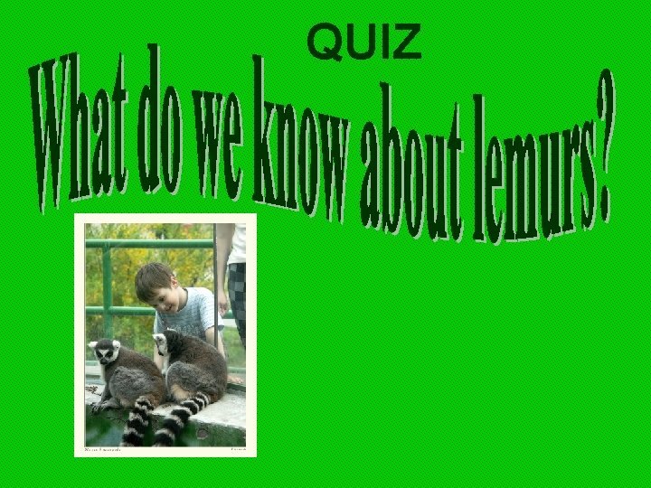 QUIZ 