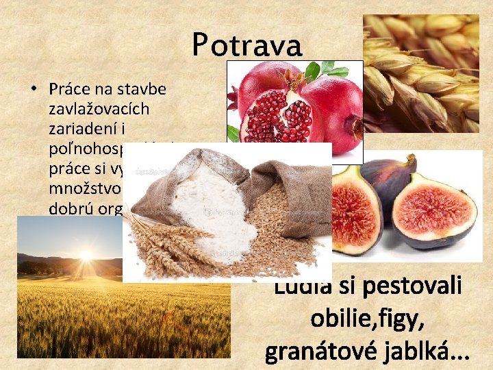 Potrava • Práce na stavbe zavlažovacích zariadení i poľnohospodárske práce si vyžadovali množstvo ľudí