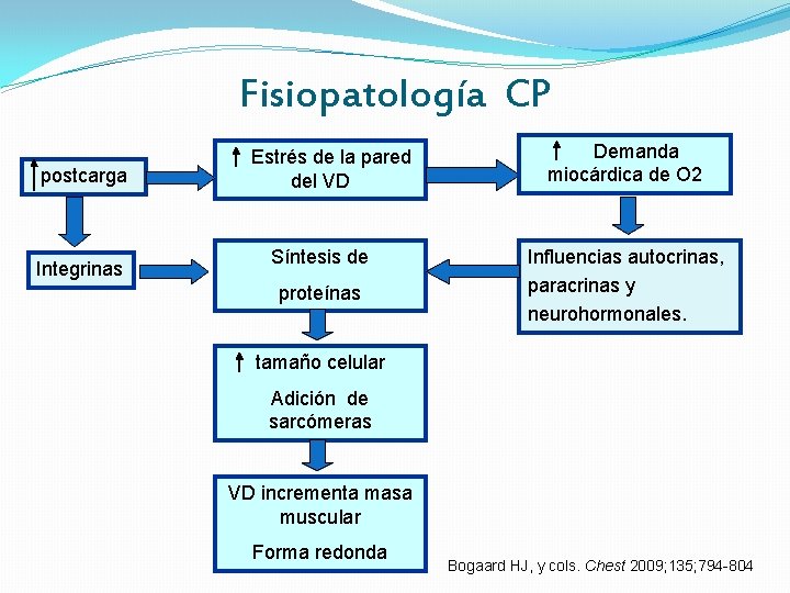 Fisiopatología CP postcarga Integrinas Estrés de la pared del VD Demanda miocárdica de O Fisiopatología CP postcarga Integrinas Estrés de la pared del VD Demanda miocárdica de O