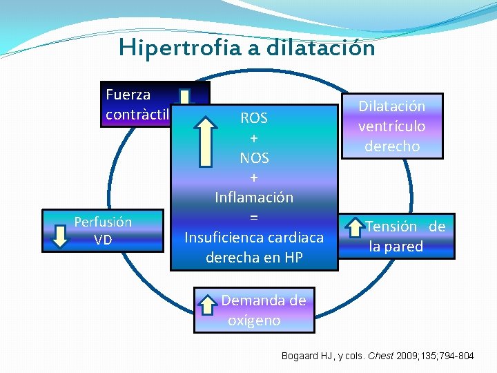 Hipertrofia a dilatación Fuerza contràctil Perfusión VD ROS + NOS + Inflamación = Insuficienca Hipertrofia a dilatación Fuerza contràctil Perfusión VD ROS + NOS + Inflamación = Insuficienca