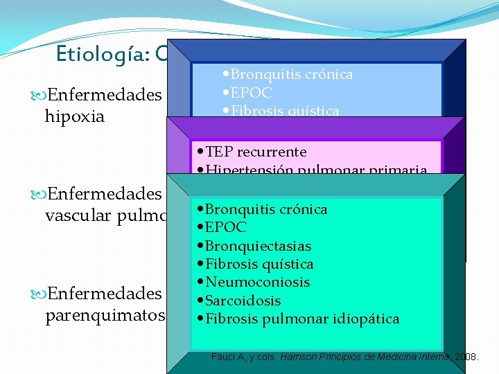Etiología: Cardiopatía pulmonar crónica • Bronquitis crónica • EPOC Enfermedades que producen vasoconstricción por Etiología: Cardiopatía pulmonar crónica • Bronquitis crónica • EPOC Enfermedades que producen vasoconstricción por