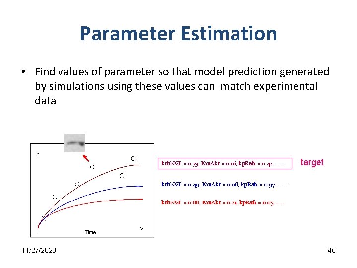 Parameter Estimation • Find values of parameter so that model prediction generated by simulations