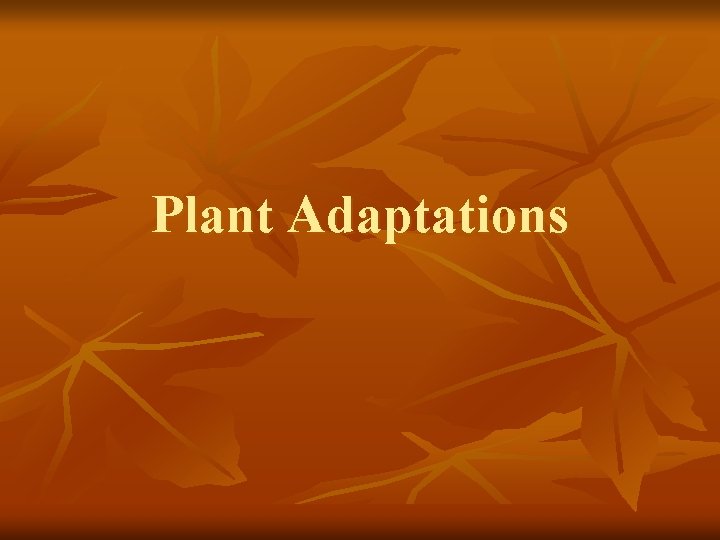 Plant Adaptations 