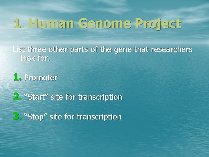 1. Human Genome Project List three other parts of the gene that researchers look