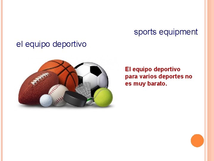 sports equipment el equipo deportivo El equipo deportivo para varios deportes no es muy