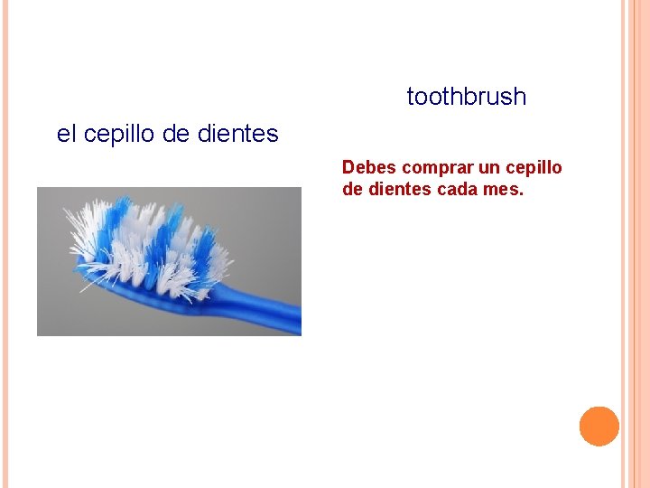 toothbrush el cepillo de dientes Debes comprar un cepillo de dientes cada mes. 