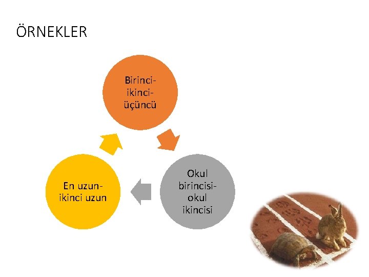 ÖRNEKLER Birinciikinciüçüncü En uzunikinci uzun Okul birincisiokul ikincisi 