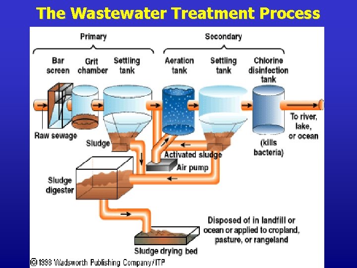 The Wastewater Treatment Process 