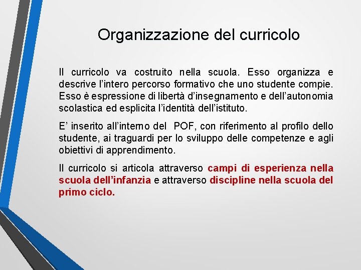 Organizzazione del curricolo Il curricolo va costruito nella scuola. Esso organizza e descrive l’intero