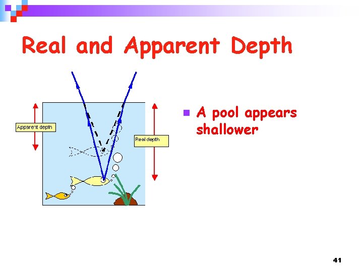 Real and Apparent Depth n A pool appears shallower 41 