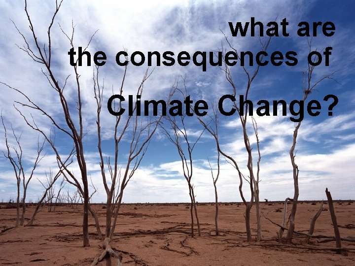 what are the consequences of What are the consequences of Climate Change? 