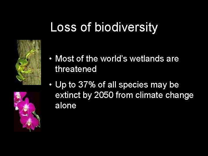 Loss of biodiversity • Most of the world’s wetlands are threatened • Up to