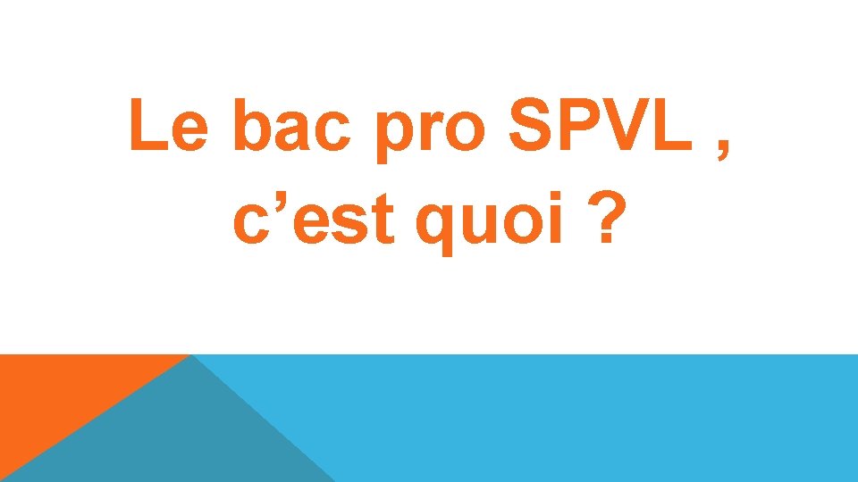 Le bac pro SPVL , c’est quoi ? 