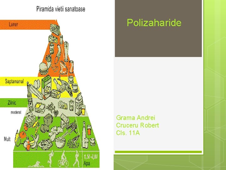 Polizaharide Grama Andrei Cruceru Robert Cls. 11 A 