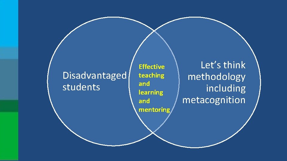 Disadvantaged students Effective teaching and learning and mentoring Let’s think methodology including metacognition 