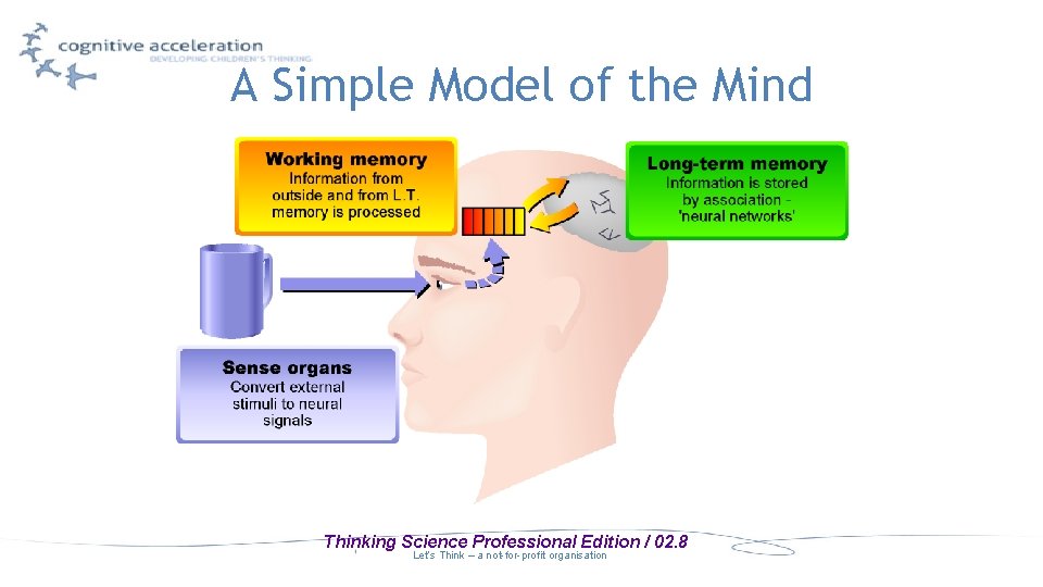 A Simple Model of the Mind Thinking Science Professional Edition / 02. 8 Let’s