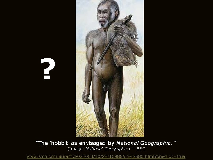 ? "The ‘hobbit’ as envisaged by National Geographic. " (Image: National Geographic) -- BBC