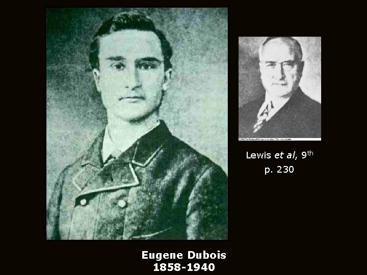 Lewis et al, 9 th p. 230 Eugene Dubois 1858 -1940 