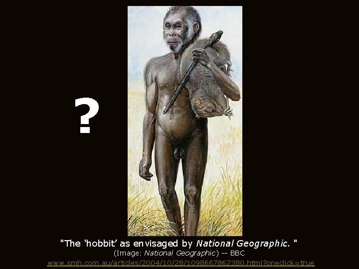 ? "The ‘hobbit’ as envisaged by National Geographic. " (Image: National Geographic) -- BBC