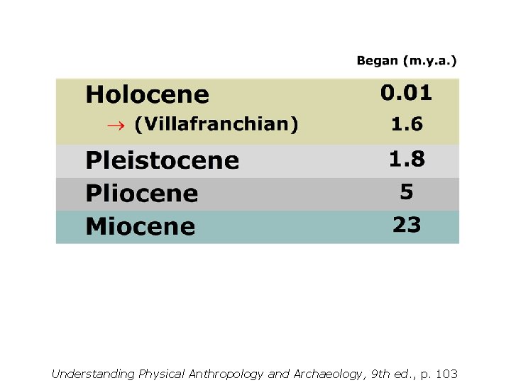 Understanding Physical Anthropology and Archaeology, 9 th ed. , p. 103 
