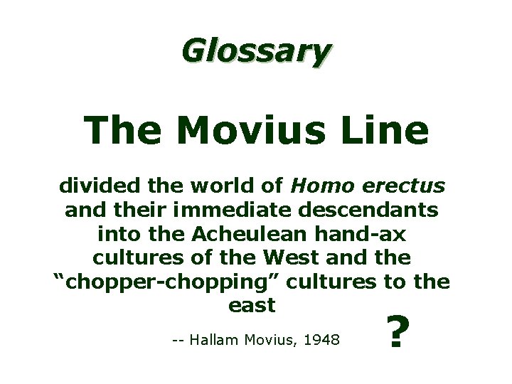 Glossary The Movius Line divided the world of Homo erectus and their immediate descendants