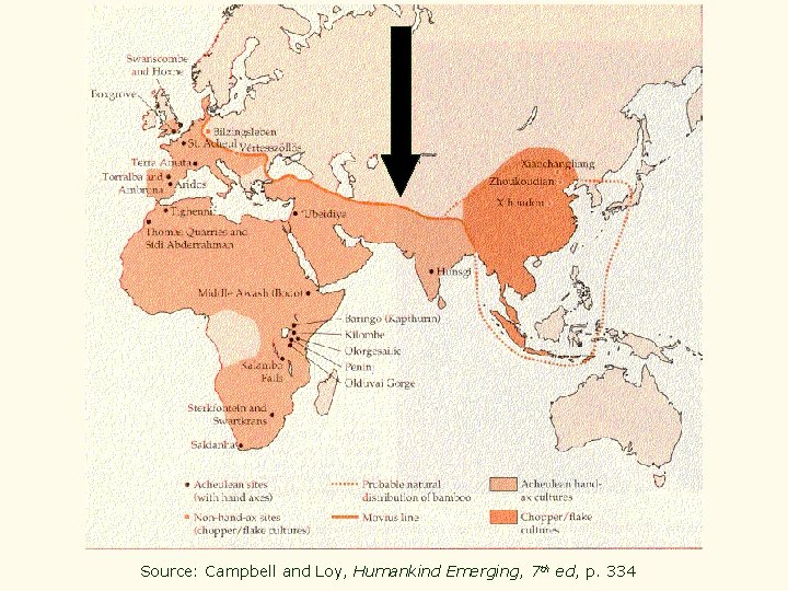 Source: Campbell and Loy, Humankind Emerging, 7 th ed, p. 334 