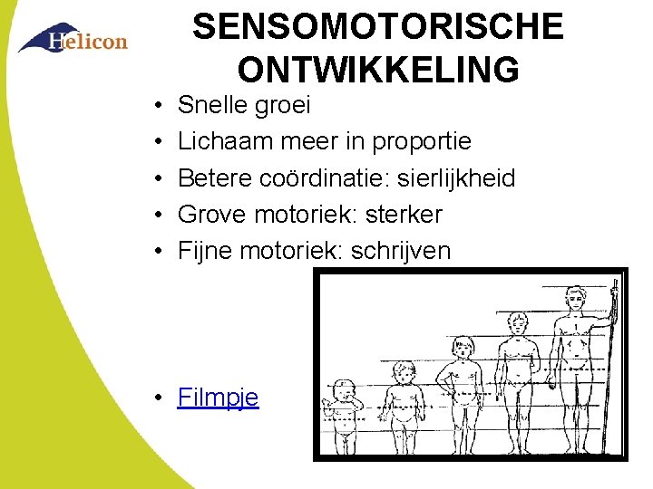 SENSOMOTORISCHE ONTWIKKELING • • • Snelle groei Lichaam meer in proportie Betere coördinatie: sierlijkheid