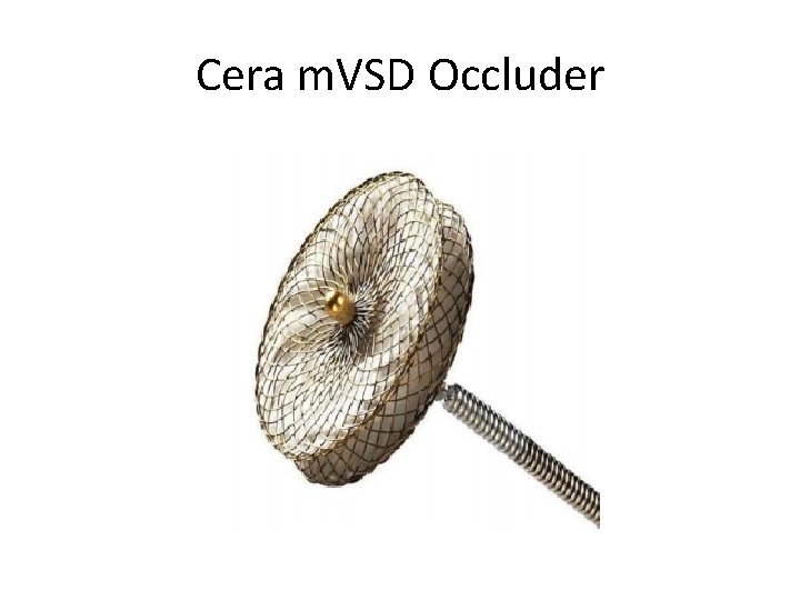 Cera m. VSD Occluder 