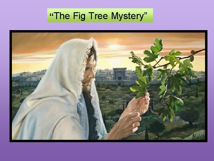 “The Fig Tree Mystery” 
